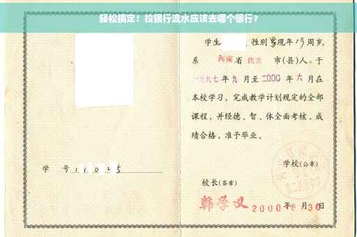 轻松搞定！拉银行流水应该去哪个银行？