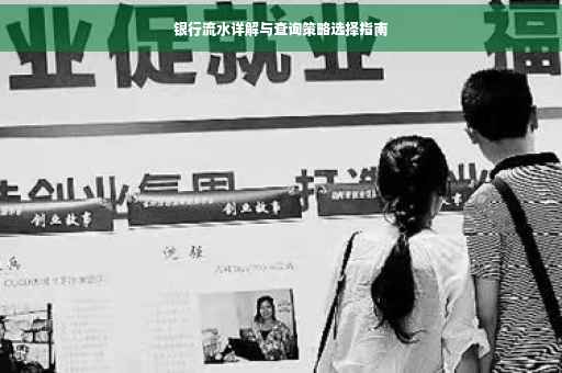 银行流水详解与查询策略选择指南