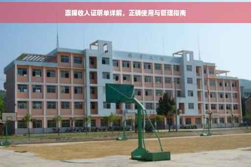 票据收入证明单详解，正确使用与管理指南