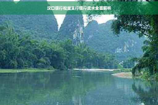 汉口银行松滋支行银行流水全面解析