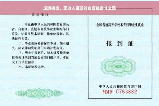逆境挑战，无收入证明的自媒体奋斗之路