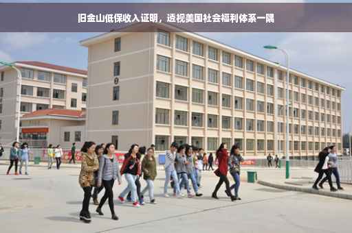 旧金山低保收入证明，透视美国社会福利体系一隅