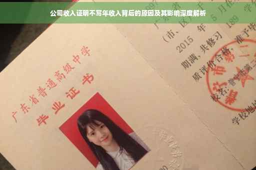 公司收入证明不写年收入背后的原因及其影响深度解析