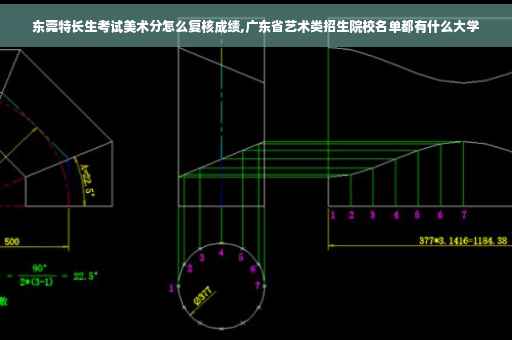 东莞特长生考试美术分怎么复核成绩,广东省艺术类招生院校名单都有什么大学