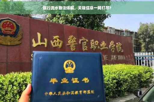 银行流水备注详解，关键信息一网打尽?