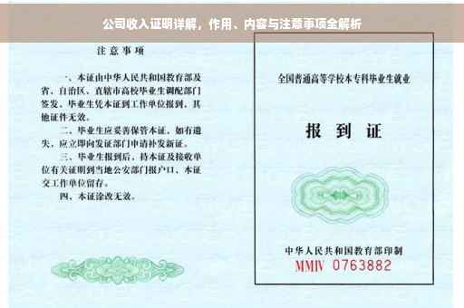 公司收入证明详解，作用、内容与注意事项全解析
