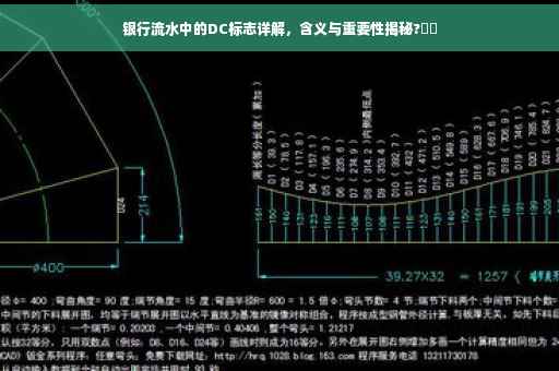 银行流水中的DC标志详解，含义与重要性揭秘?⚡️