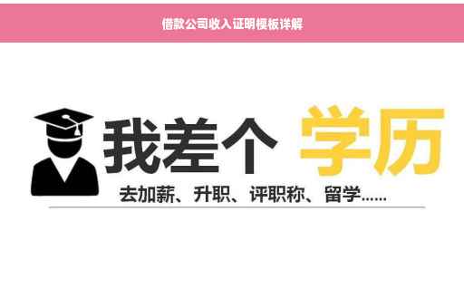 借款公司收入证明模板详解