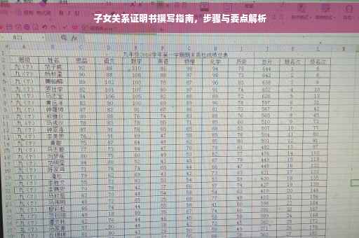 子女关系证明书撰写指南，步骤与要点解析