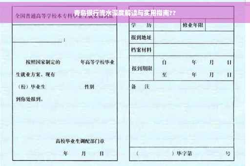 青岛银行流水深度解读与实用指南??