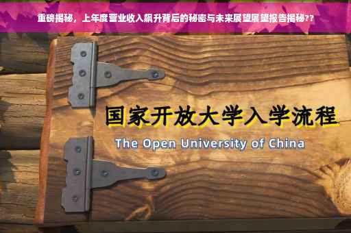 重磅揭秘，上年度营业收入飙升背后的秘密与未来展望展望报告揭秘??