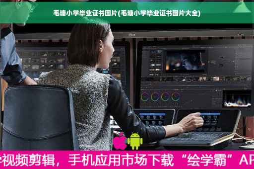 毛塘小学毕业证书图片(毛塘小学毕业证书图片大全)