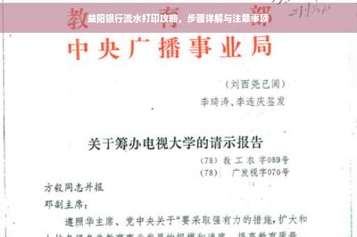 益阳银行流水打印攻略，步骤详解与注意事项