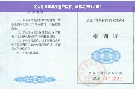 初中毕业证丢失情况详解，经历与应对之道?