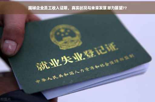 揭秘企业员工收入证明，真实状况与未来发展潜力展望??