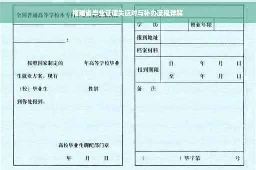 福建省毕业证遗失应对与补办流程详解