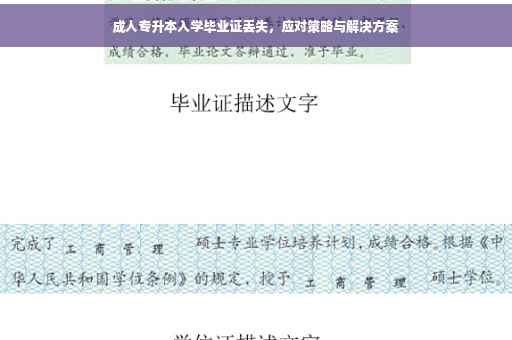 成人专升本入学毕业证丢失，应对策略与解决方案