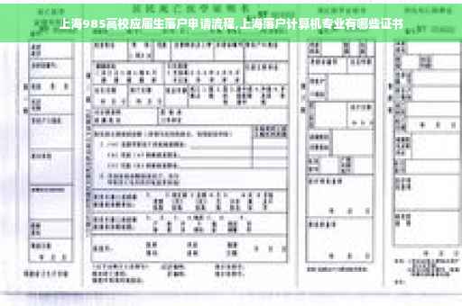 上海985高校应届生落户申请流程,上海落户计算机专业有哪些证书