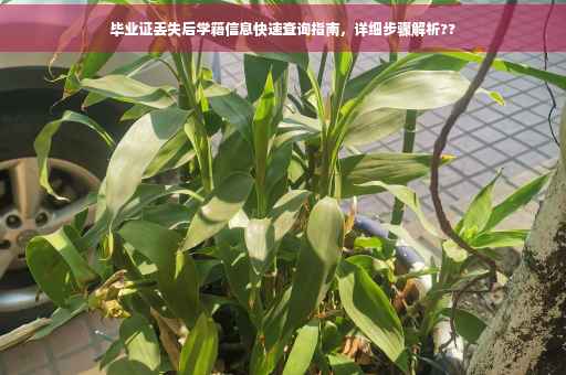 毕业证丢失后学籍信息快速查询指南，详细步骤解析??