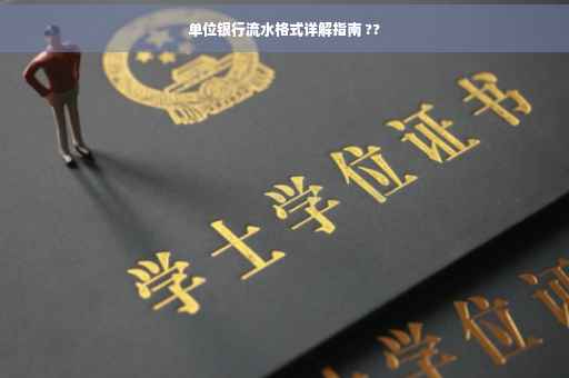 单位银行流水格式详解指南 ??