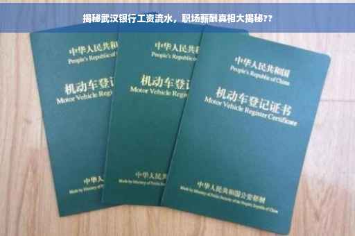 揭秘武汉银行工资流水，职场薪酬真相大揭秘??