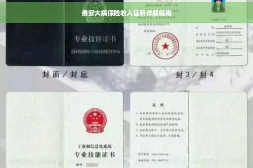 泰安大病保险收入证明详解指南