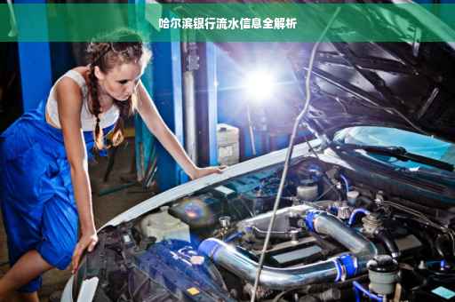 哈尔滨银行流水信息全解析