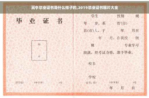 高中毕业证书是什么样子的,2019毕业证书图片大全