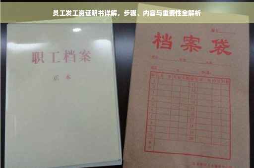员工发工资证明书详解，步骤、内容与重要性全解析