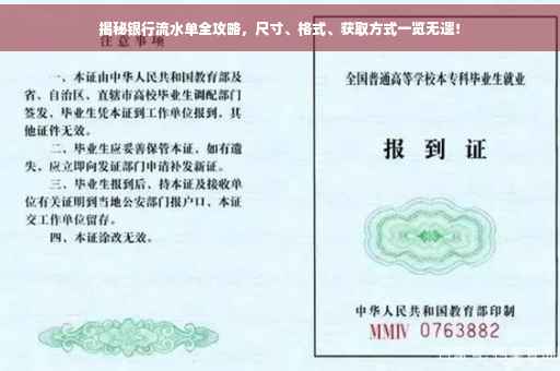 揭秘银行流水单全攻略，尺寸、格式、获取方式一览无遗！