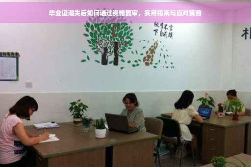 毕业证遗失后如何通过资格复审，实用指南与应对策略