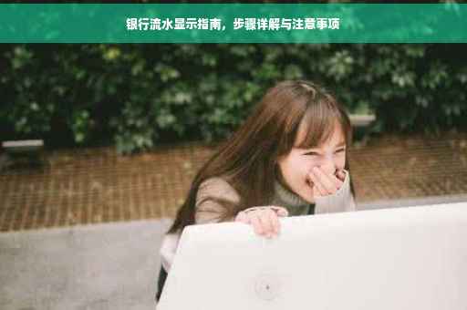 银行流水显示指南，步骤详解与注意事项