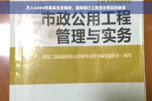 月入6000的真实生活体验，揭秘银行工资流水背后的故事
