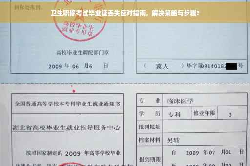 卫生职称考试毕业证丢失应对指南，解决策略与步骤?