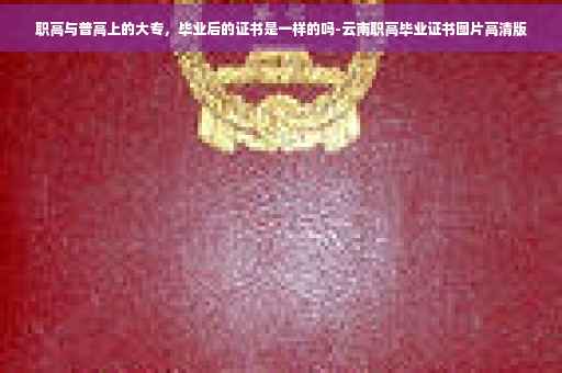 职高与普高上的大专，毕业后的证书是一样的吗-云南职高毕业证书图片高清版