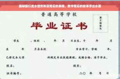 揭秘银行流水借贷账目背后的真相，数字背后的故事浮出水面