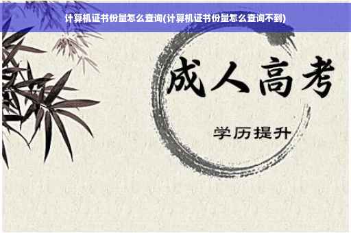计算机证书份量怎么查询(计算机证书份量怎么查询不到)