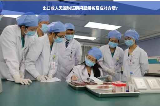 出口收入无退税证明问题解析及应对方案?