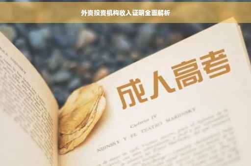 外资投资机构收入证明全面解析