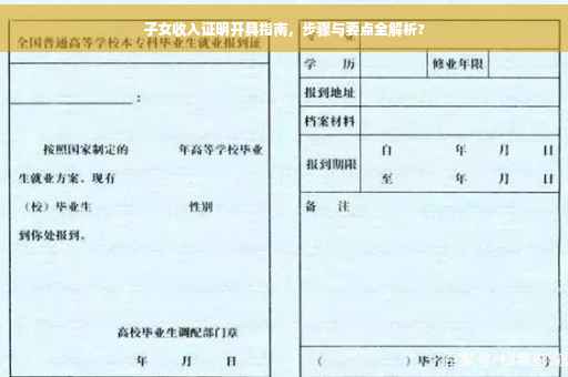 子女收入证明开具指南，步骤与要点全解析?