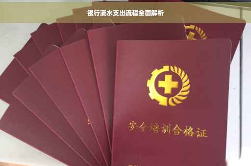 银行流水支出流程全面解析