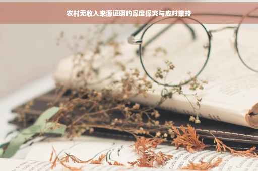农村无收入来源证明的深度探究与应对策略