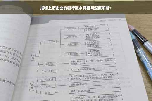 揭秘上市企业的银行流水真相与深度解析?
