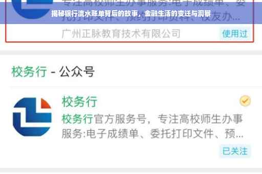 揭秘银行流水账单背后的故事，金融生活的变迁与洞察