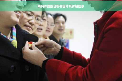 鸡饲养周期证明书图片及详细信息