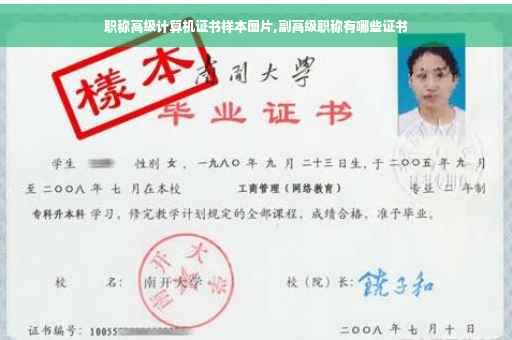 职称高级计算机证书样本图片,副高级职称有哪些证书