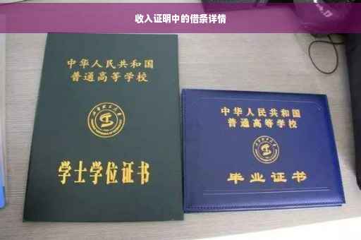 收入证明中的借条详情