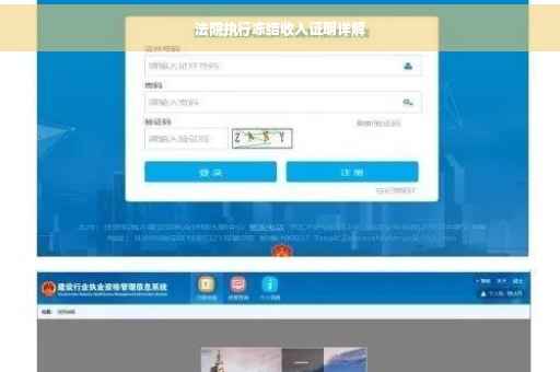 法院执行冻结收入证明详解