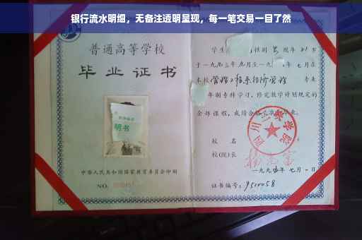 银行流水明细，无备注透明呈现，每一笔交易一目了然
