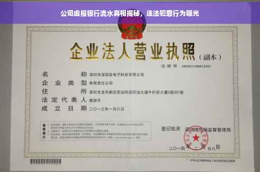公司虚报银行流水真相揭秘，违法犯罪行为曝光